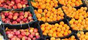تعاون روستایی گیلان ۲۰۰ تن میوه شب عید ذخیره‌سازی کرد
