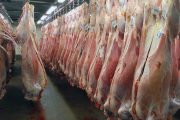 واردات افزون بر 249 تن گوشت قرمز از مرز آستارا