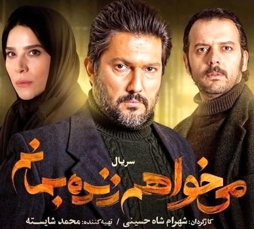 توقیف فیلم پرطرفدار شبکه نمایش خانگی با شکایت ناجا توقیف فیلم پرطرفدار شبکه نمایش خانگی با شکایت ناجا