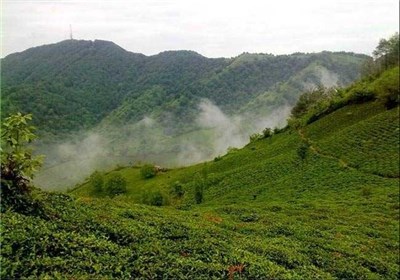 صومعه سرا ، شهرستان سبز در احیای بناهای تاریخی شد