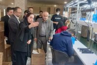 تولید باکیفیت داخلی، سدی در برابر واردات کالای خارجی