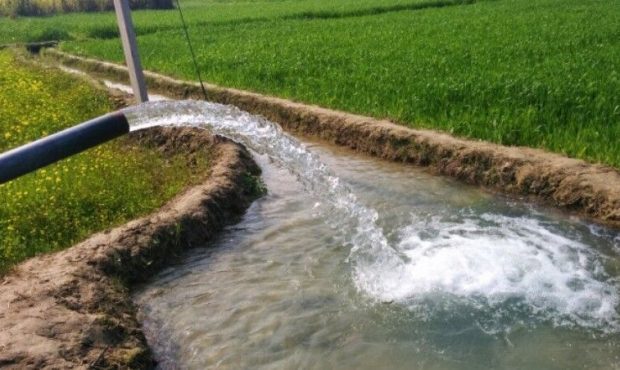 مرحله چهارم آبگذاری شالیزارهای منطقه مرکزی گیلان ؛ از دوشنبه