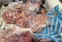 کشف ۲۰۰ کیلو گوشت گراز در مرکز گیلان