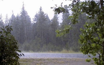 بارندگی در گیلان تا فردا ادامه دارد بارندگی در گیلان تا فردا ادامه دارد