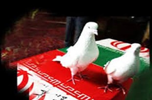 پیکر جانباز 70 درصد گیلانی به خانه ابدی بدرقه شد پیکر جانباز 70 درصد گیلانی به خانه ابدی بدرقه شد